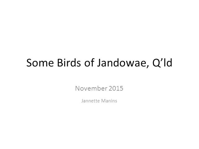 Jandowae_birds.png