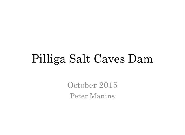 Pilliga_Dam.png