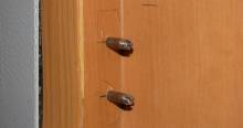table_stay_pins.jpg